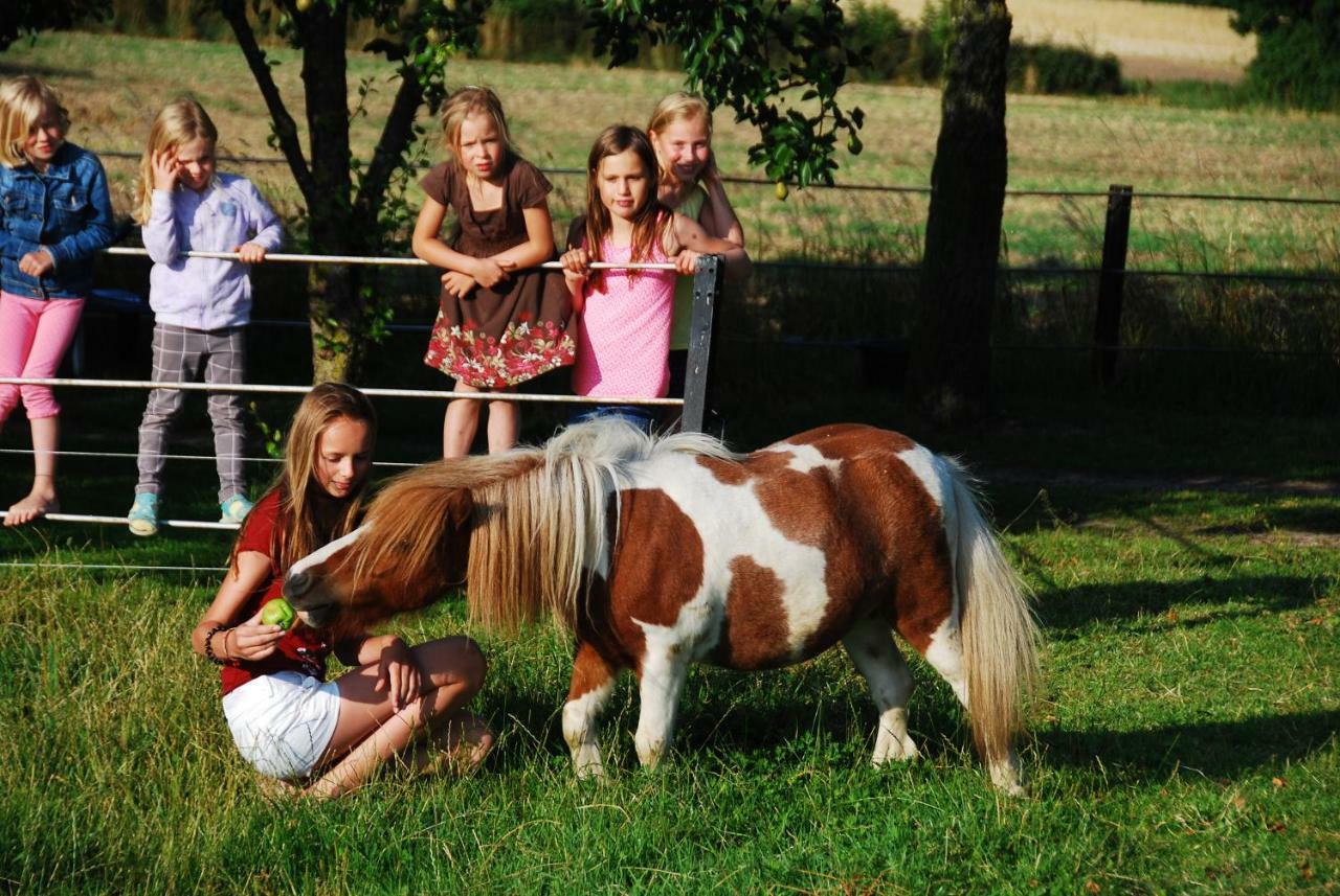 Ferienhof Blunck Wangels Esterno foto